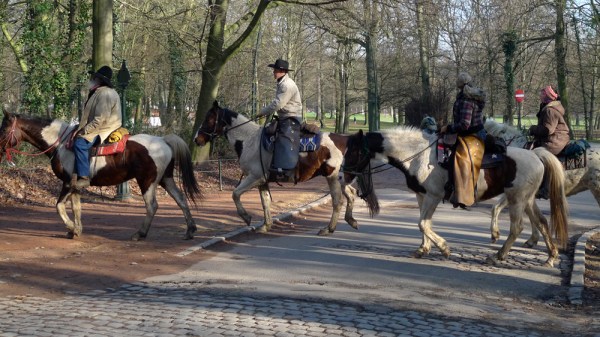 Mamas Don't Let Your Babies Grow Up To Be Cowboys