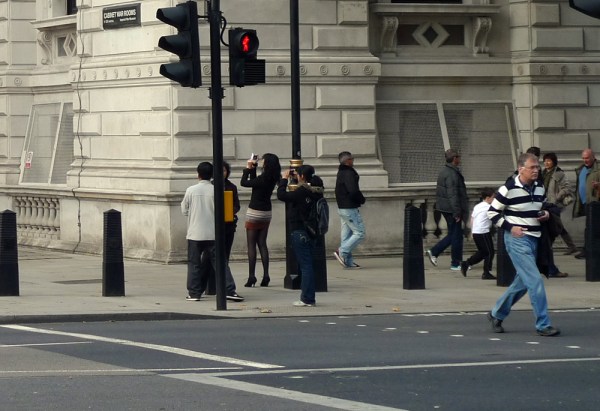 Take a Walk on the Wild Side