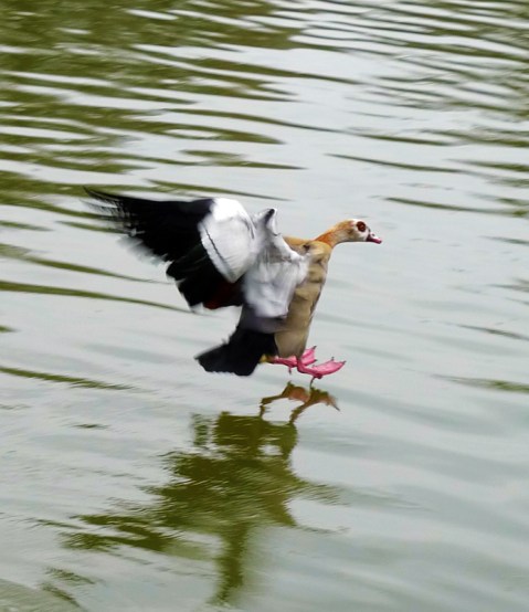 The art of a soft landing