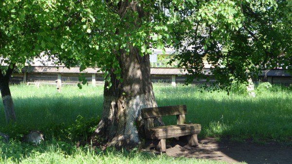 430-Stay (Wasting Time)