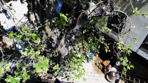 Someone to watch over me