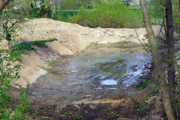 Tribute To Muddy Waters