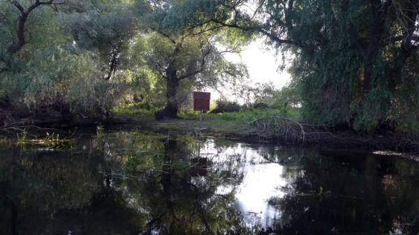 Green River Ordinance - Waiting For A Sign