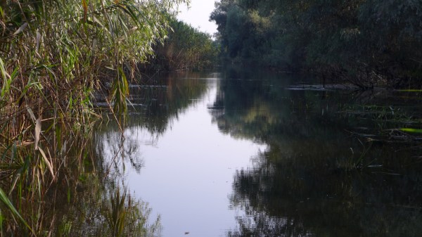 Gone fishing (the best place to be is somewhere else)