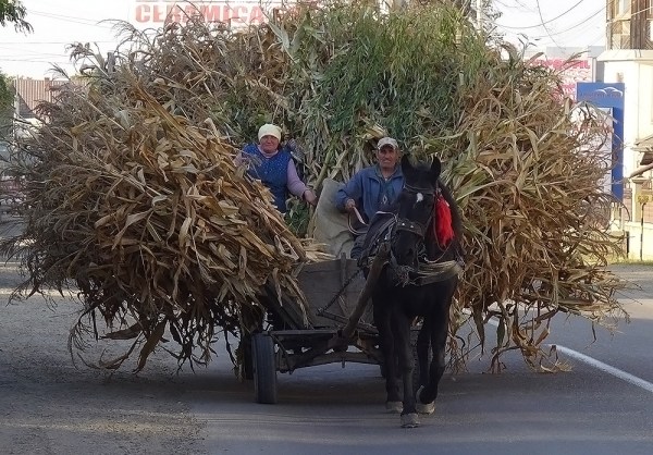 Take me on home (Conversations In Blue)