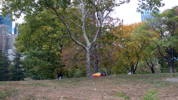 I Don't Live Anywhere