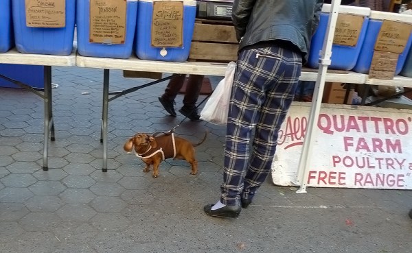 Do You Realy Want To Hurt Me