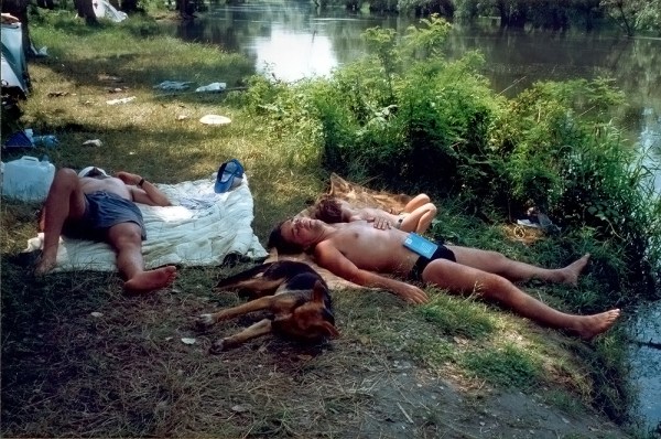 Ilya Ilyich, why are you making so much noise