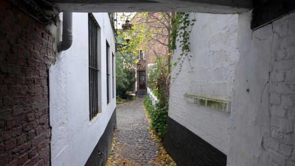 Asking Around For You