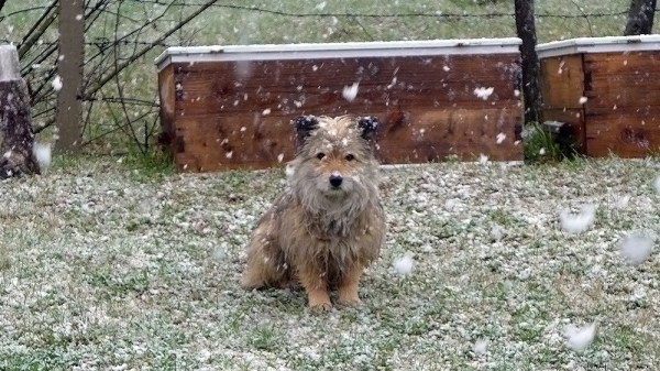 Weather Report - Speechless