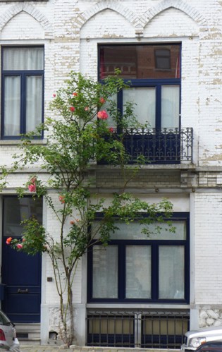 Stop And Take The Time To Smell The Roses