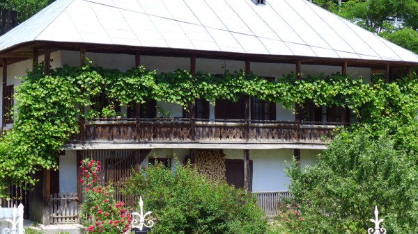 I heard it throught the grapevine