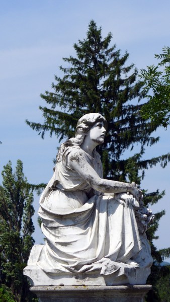 In Memory Of Elizabeth Reed