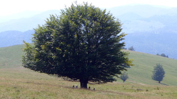 Blue By Nature - Break Down