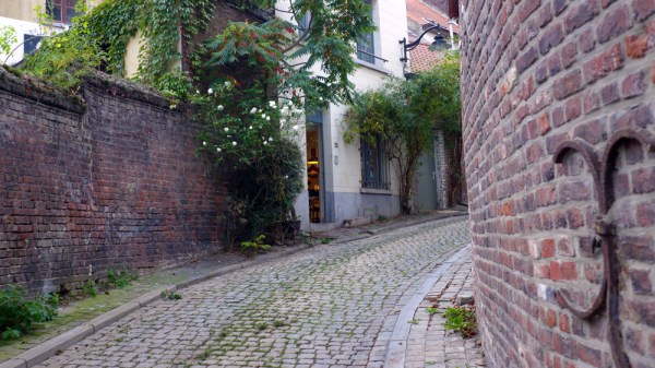 Let My Love Open The Door