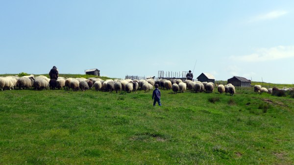 Im Going To Work Until The Day Is Done