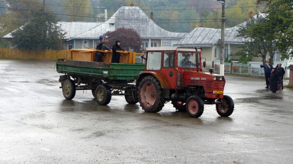 Look at little Sister