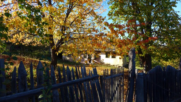 When autumn leaves start to fall...