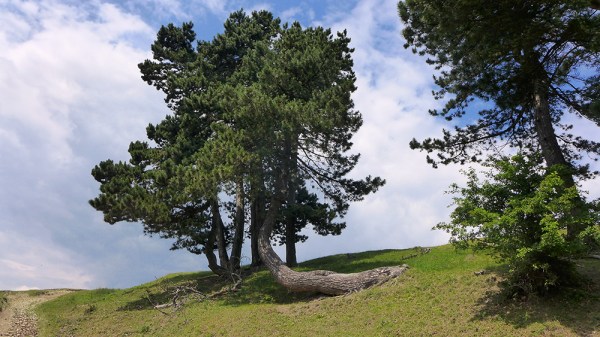 You Got Me On My Knees