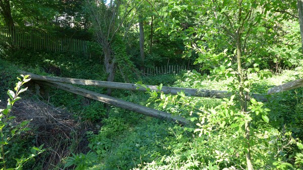 Footbridge To Heaven