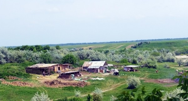 My Own Private Idaho