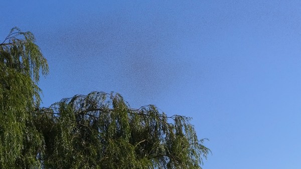 Something In The Air