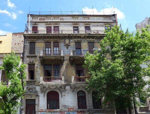 Two Trees (In A Time Lapse)