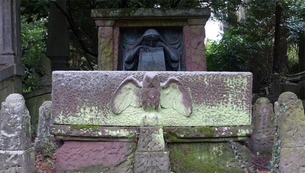 Young I used to dream and the wind blows and the owl sings