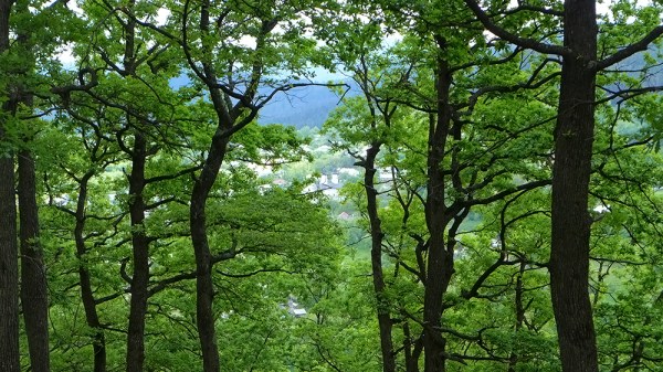 A Quiet Day in Spring