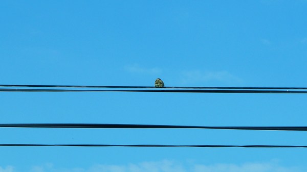 Say My Name or Say Whatever