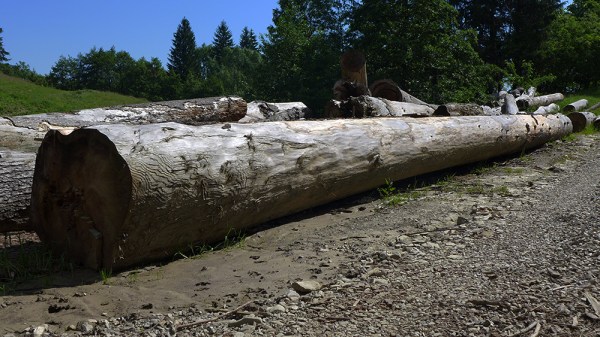 Big Log