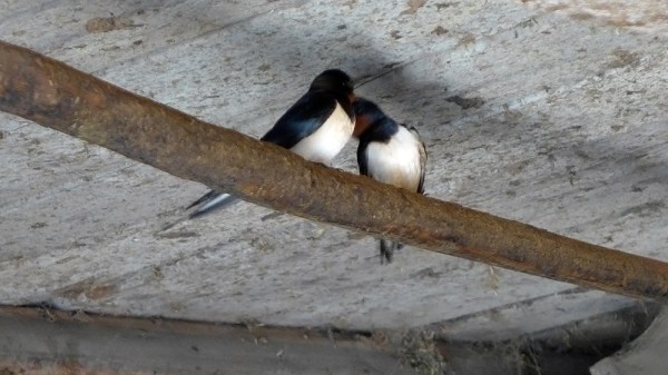 A kiss is just a kiss