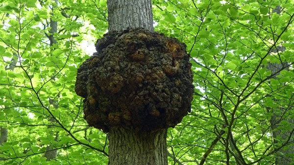 The Death Of Paradigm