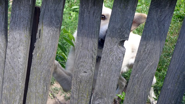 An eye for an eye a tooth for a tooth