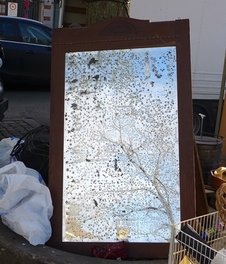 the-dreaming-tree-has-died