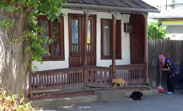 Curb your enthusiasm